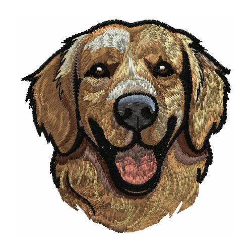 dhagaraga golden boy